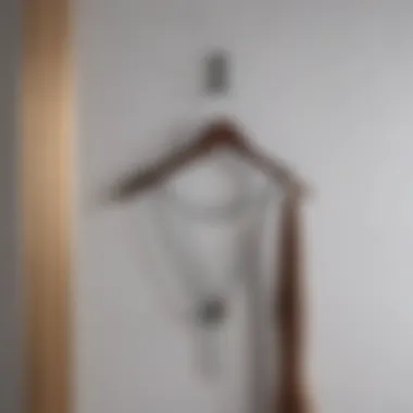 Modern Necklace Hanger Design Stylish wall-mounted necklace hanger in a modern setting