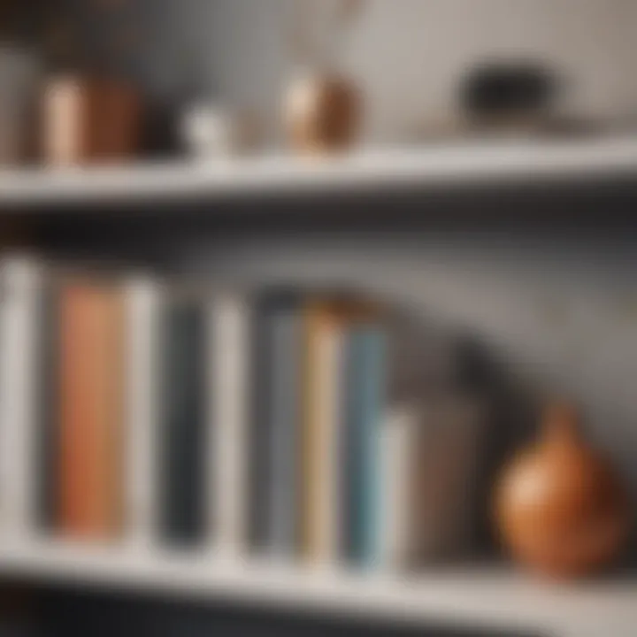 Close-up of stylish decor elements on a minimalist bookshelf.