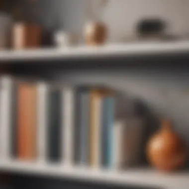 Stylish Decor Elements Close-up of stylish decor elements on a minimalist bookshelf.