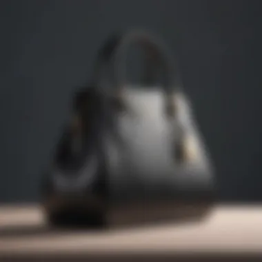 Elegant Silhouette of Forever Young Purse Bag Elegant design of the Forever Young Purse Bag showcasing its unique silhouette.