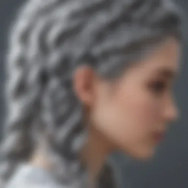 Intricate Braid Patterns Close-up of intricate braid patterns in gray wig