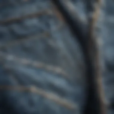 Detailed View of Distressed Denim A close-up of distressed denim fabric showcasing unique textures and patterns