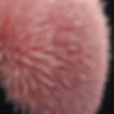 Close-up of silicone bristles and their texture